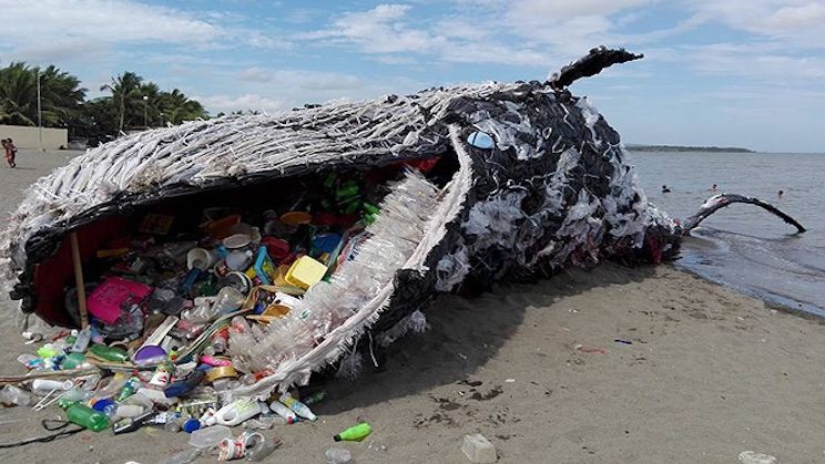 ballena plastico