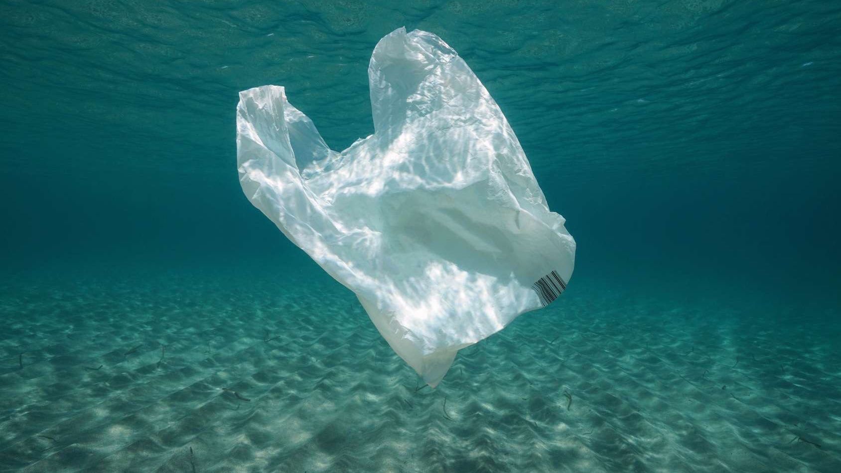 reciclar bolsa plastico en cinco minutos