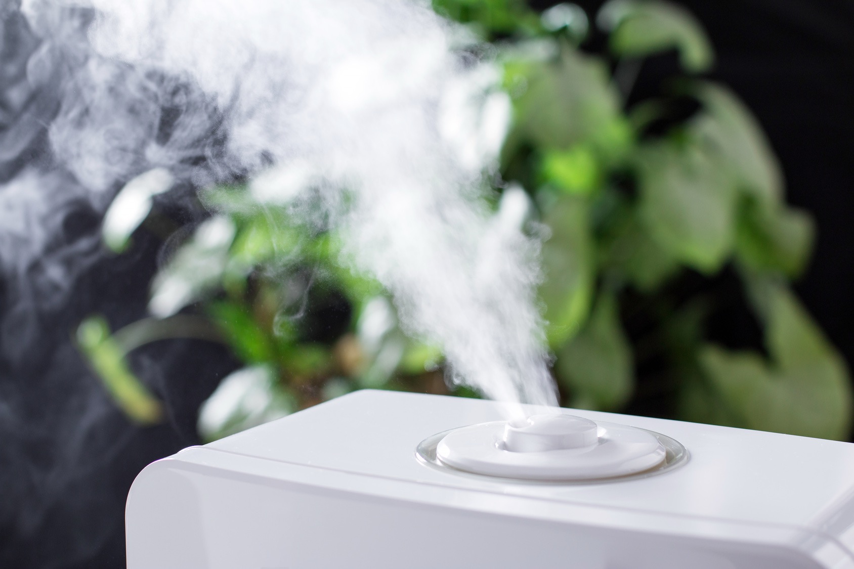 dormir con un humidificador plantas