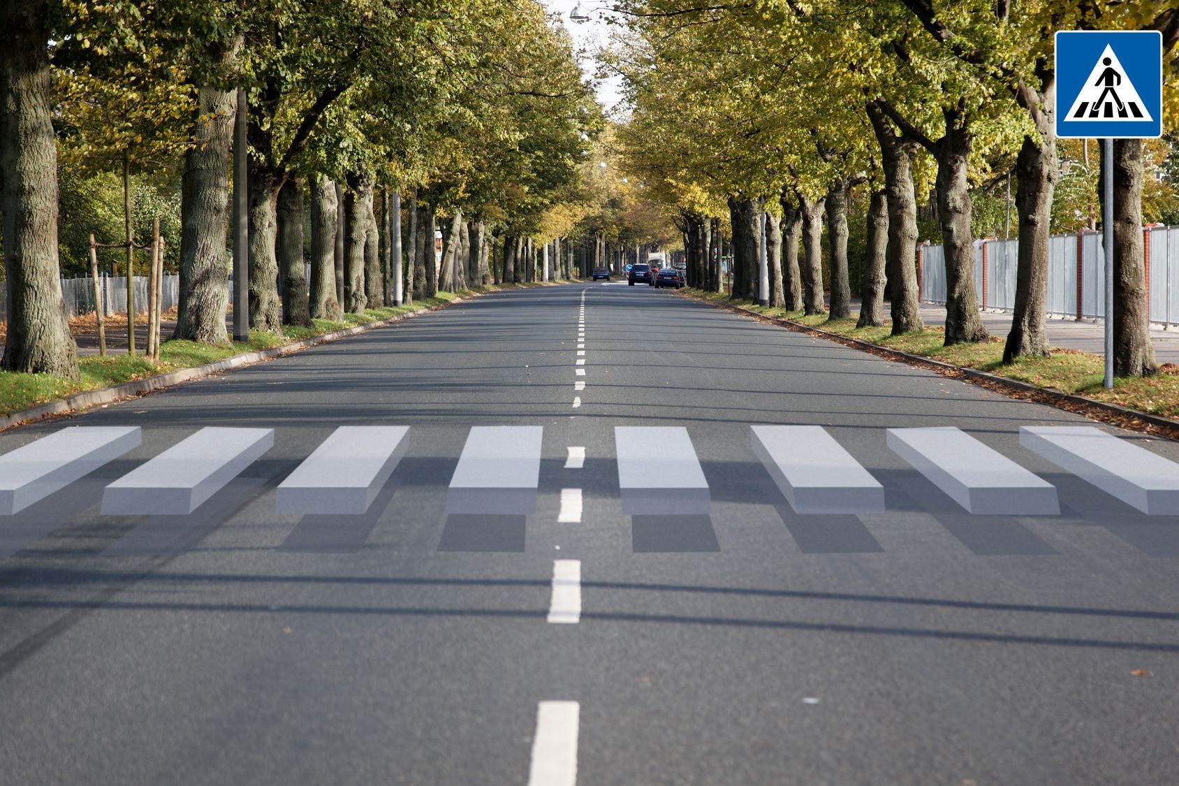 paso de zebra flotante