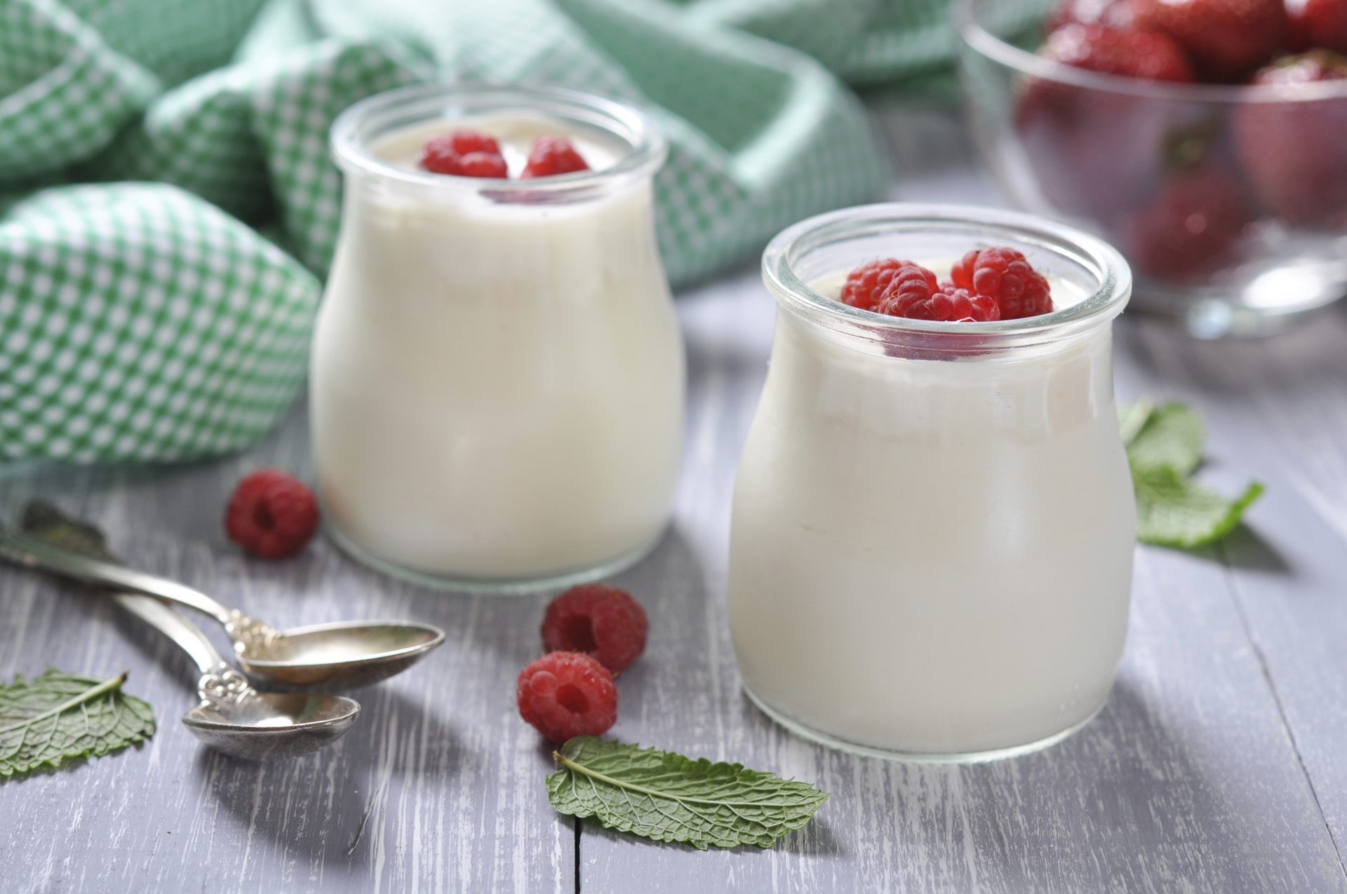 yogurtera fruta
