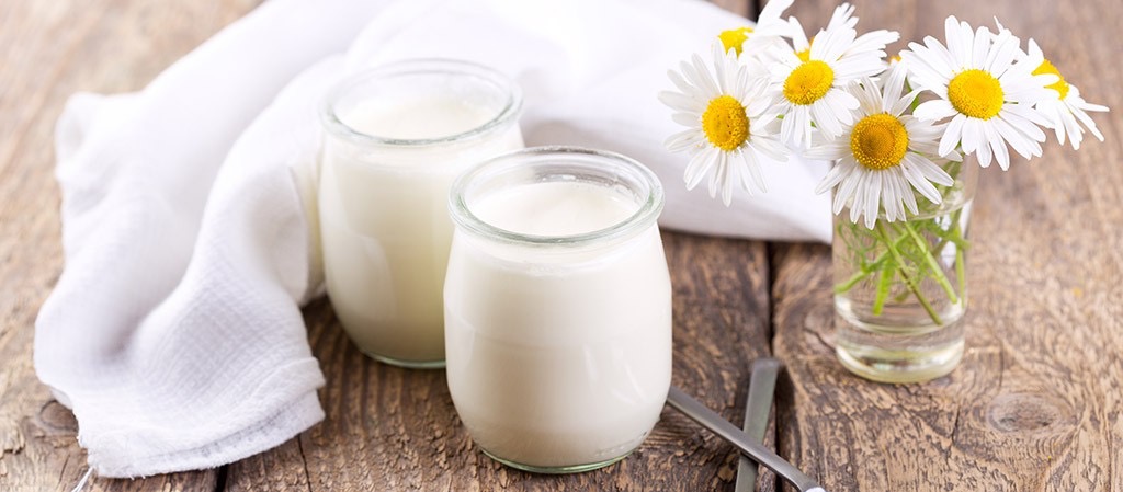yogurtera nutritivo