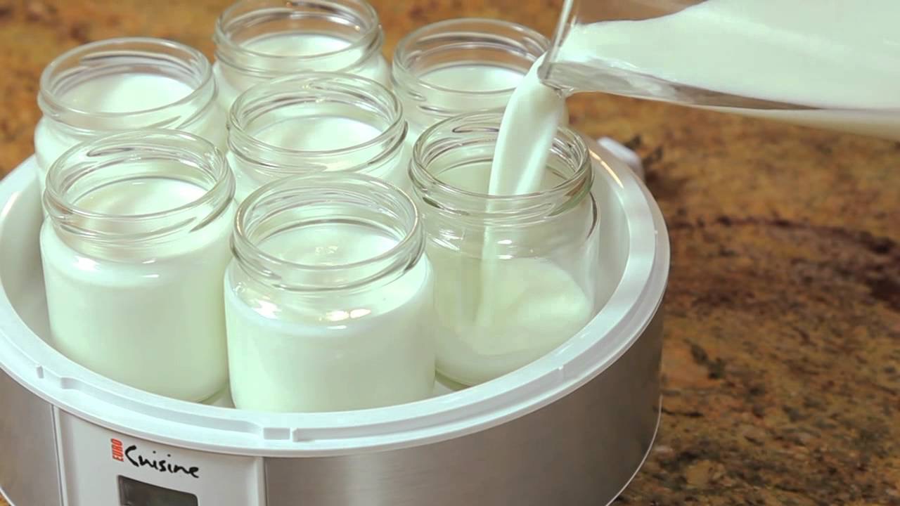yogurtera preparacion