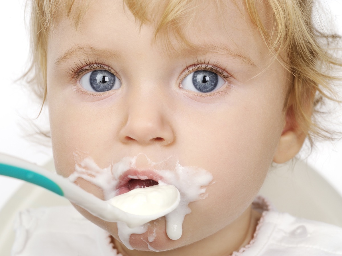 yogurtera toda familia