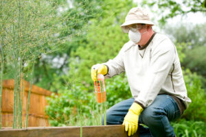  jardín ecológico en casa 