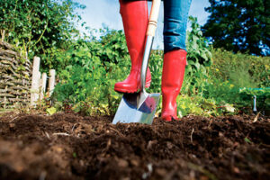 fertilizante orgánico