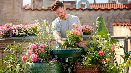 cómo hacer un jardín ecológico en casa